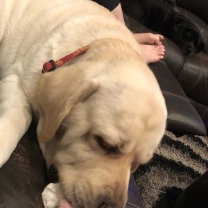 Meet your Posher, Jeff